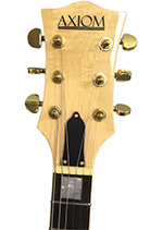 Beginner Electric Guitar Melbourne