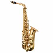 Prelude Alto Sax Outfit - Ideal for Adults and Children